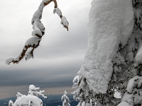 Parc national du Mont-Mégantic -Secteur de l'Observatoire